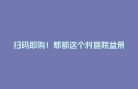 扫码即购！郫都这个村庭院盆景开启24小时“无人售卖”模式