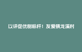 以评促优树标杆！友爱镇龙溪村散居院落环境评比见实效