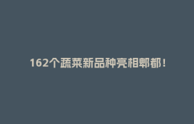 162个蔬菜新品种亮相郫都！品质农业解锁丰收新图景