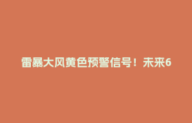 雷暴大风黄色预警信号！未来6小时内这些地方注意→