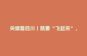 央媒看四川丨既要“飞起来”，又要“飞得稳”——四川多措并举促低空经济乘势高飞