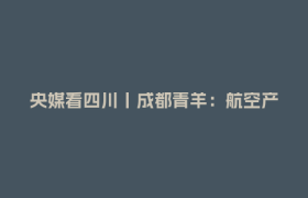 央媒看四川丨成都青羊：航空产业转型高飞