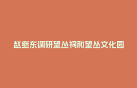 赵继东调研望丛祠和望丛文化园建设项目