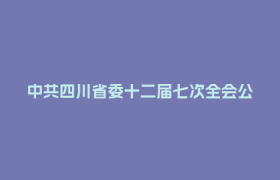 中共四川省委十二届七次全会公报