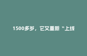 1500多岁，它又重新“上线”