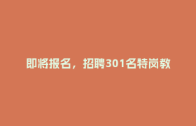即将报名，招聘301名特岗教师