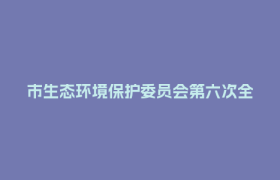 市生态环境保护委员会第六次全体会议召开 曹立军出席并讲话