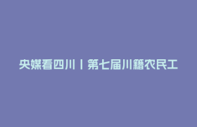 央媒看四川丨第七届川籍农民工运动会在京举行