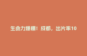 生命力爆棚！成都，出片率100%🥰