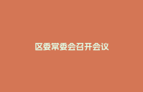 区委常委会召开会议