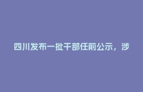 四川发布一批干部任前公示，涉厅级领导职务