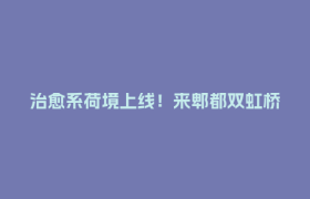 治愈系荷境上线！来郫都双虹桥赴一场夏日浪漫之约