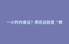 一小时内拿证？原来这就是“郫都速度”