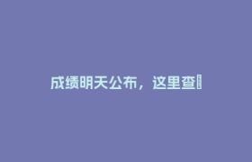 成绩明天公布，这里查→