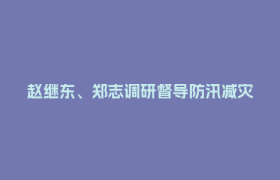赵继东、郑志调研督导防汛减灾工作