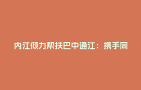 内江倾力帮扶巴中通江：携手同战“欠发达”，共绘振兴新篇章