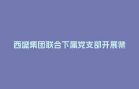 西盛集团联合下属党支部开展禁毒主题沉浸式学习活动