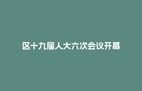 区十九届人大六次会议开幕
