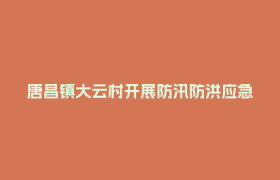 唐昌镇大云村开展防汛防洪应急演练  筑牢汛期“安全堤坝”