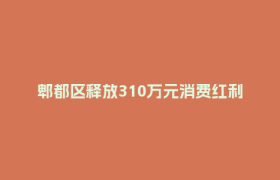 郫都区释放310万元消费红利 暑期双促消费活动点燃城市活力