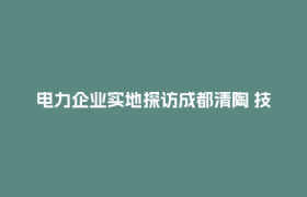 电力企业实地探访成都清陶 技术需求点燃新能源合作热潮