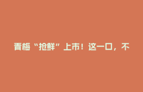 青梅“抢鲜”上市！这一口，不仅酸甜……