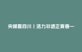 央媒看四川丨活力非遗正青春——第九届中国成都国际非遗节见闻