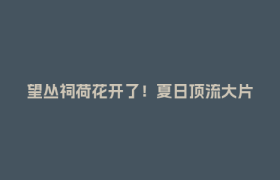 望丛祠荷花开了！夏日顶流大片来袭→
