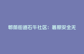 郫筒街道石牛社区：暑期安全无小事  防患未然护成长