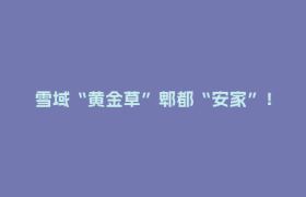 雪域“黄金草”郫都“安家”！看这家企业如何实现冬虫夏草工厂化培育生产