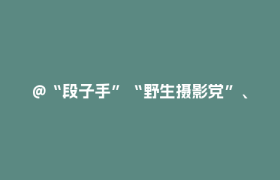 @“段子手”“野生摄影党”、短视频博主们，你们的机会来了！