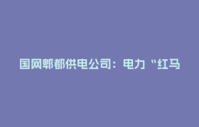 国网郫都供电公司：电力“红马甲” 护航中考路
