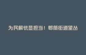 为民解忧显担当！郫筒街道望丛社区获赠两面致谢锦旗