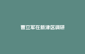 曹立军在新津区调研