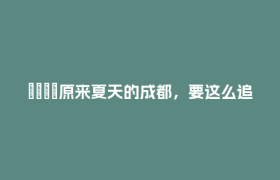 🤳原来夏天的成都，要这么追
