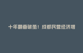 十年翻番破茧！成都民营经济增加值跃上1.18万亿新高地