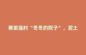秦家庙村“冬冬的院子”，泥土课堂里的农耕传承