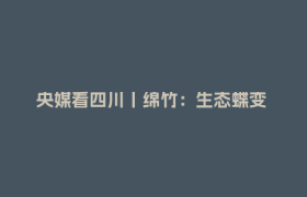 央媒看四川丨绵竹：生态蝶变 昔日矿区变身“避暑天堂”