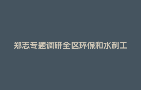 郑志专题调研全区环保和水利工作并督导中央环保督察整改