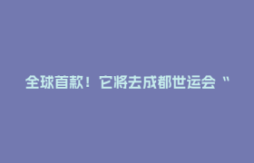 全球首款！它将去成都世运会“跳个舞”