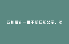 四川发布一批干部任前公示，涉多个厅级领导职务