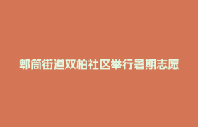 郫筒街道双柏社区举行暑期志愿服务夏令营开营活动