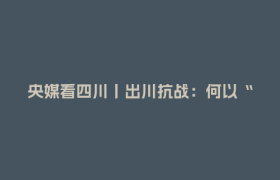 央媒看四川丨出川抗战：何以“无川不成军”