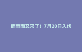 雨雨雨又来了！7月20日入伏，持续30天
