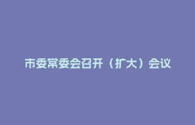 市委常委会召开（扩大）会议