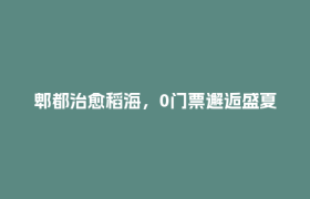 郫都治愈稻海，0门票邂逅盛夏的绿意浪漫！