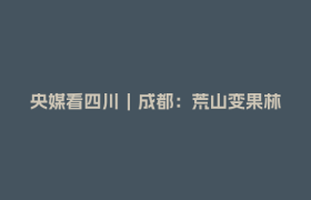 央媒看四川｜成都：荒山变果林 首批晚熟蟠桃迎来采摘季