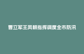 曹立军王凤朝指挥调度全市防汛减灾和强降雨应对工作