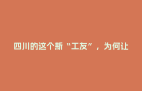 四川的这个新“工友”，为何让外交部发言人转发点赞？