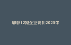 郫都12家企业亮相2025中国（四川）—乌兹别克斯坦国际商品博览会，借丝路东风拓中亚市场